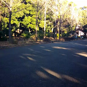 越谷春季記録会リレー選考会(男子)⑨の画像