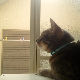 狩りモード？の画像