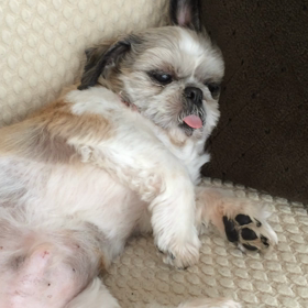 連絡待ちですの画像