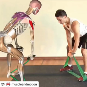 骨格で見るトレーニングの画像