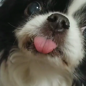 本日の、息子の画像