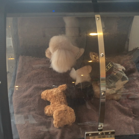 ⬛️6/7〜6/13＊酸素カプセルご利用のお友達⬛️の画像