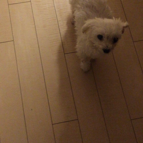 食欲ありますの画像