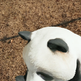 気持ち良かったの画像