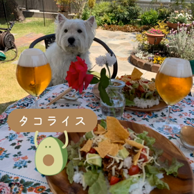 お庭cafe　タコライス♪の画像