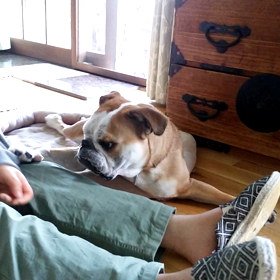 どっちが子供？の画像