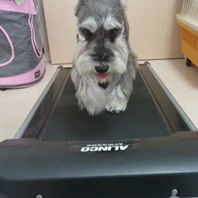 親子トレーニング✨動画の画像