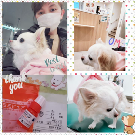 check-up診察の画像