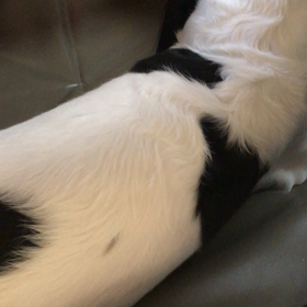 旅  7/14 長い夜の画像