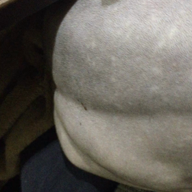 器用に動くなの画像