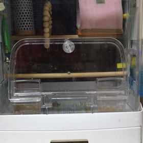 今日もテントで大暴れの画像