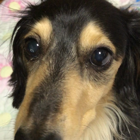 オシッコ時間が伸びましたの画像