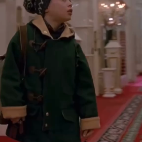 ホーム・アローンと トラさんの画像