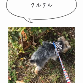 ８ヶ月♡の画像