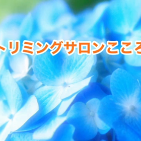 スライドショーの画像