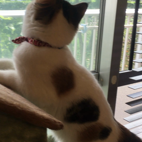 気になる！の画像