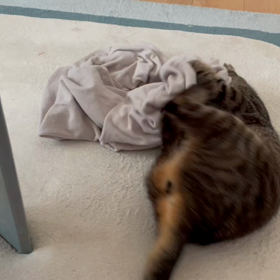 今日から８月だって。の画像