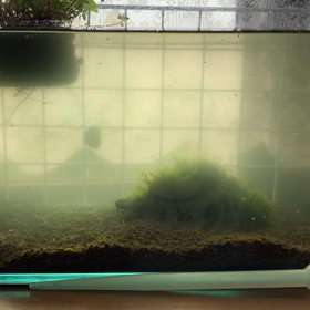 仕事前に眺めるの画像