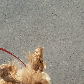 ぐいぐい&アンフェアの画像