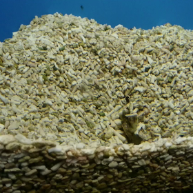 ゴールデンウィークですがの画像