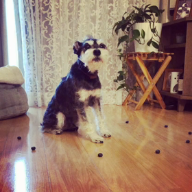 試されるぼくの画像