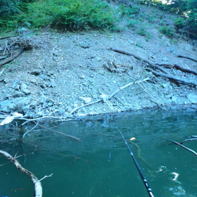 本日の津久井湖は…の画像