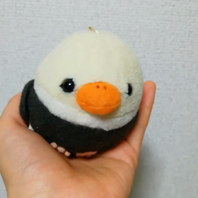 ピーコと私　ﾌﾟﾘﾌﾟﾘ428の画像