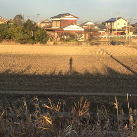 シャドーマンの画像