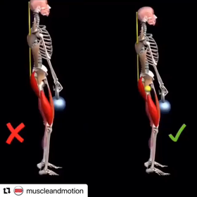 骨格で見るトレーニングの画像