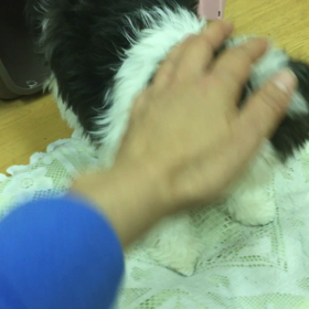 次のテーマはトイレだっ！！の画像