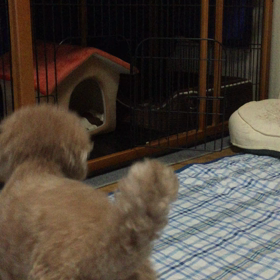 会社行くよ〜の画像