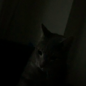 おはようございますの画像