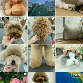 アプリリリースの画像