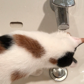 下手くその画像