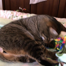 気を紛らわしての画像