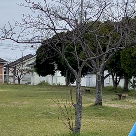 インフルエンザ予防接種の画像