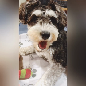 心身ともに最悪な日の画像