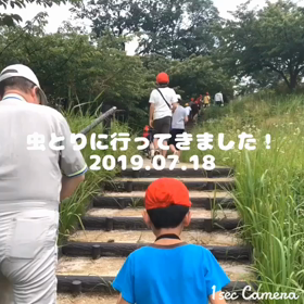 虫とり(^^)！の画像