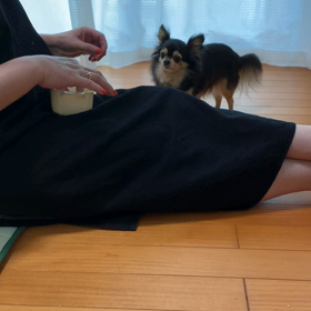 しつけ教室宿題の画像