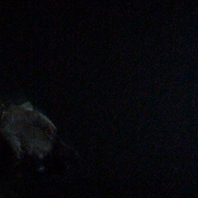 るな散歩の画像