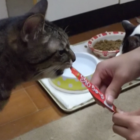 術後(７月９日)３日目の画像