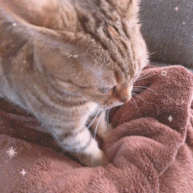 夜勤明けの画像