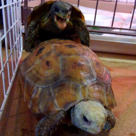 女を覚えたなの画像