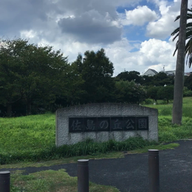 久々の佐島！の画像