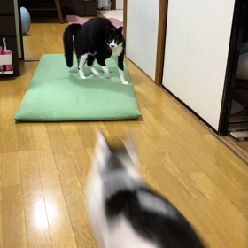 現場からレポーターですの画像