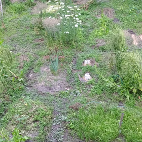 騒がしいと思ったら(^-^)の画像