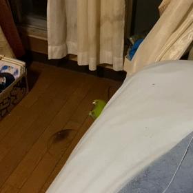 言わないっての画像