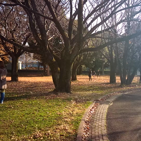 400インターバル⑨の画像