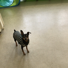 ♪プレイルーム動画♪の画像