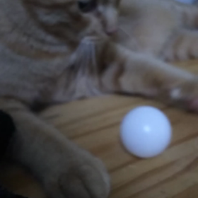 キャッチボールの画像